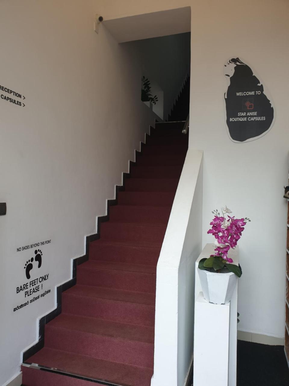 Star Anise Boutique Capsules Hotel Kolombo Bagian luar foto